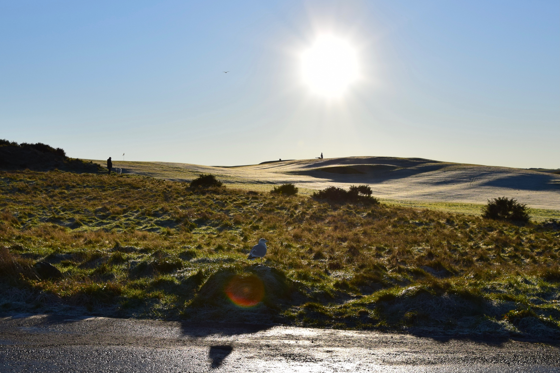 Sunrise over a Scottish links course